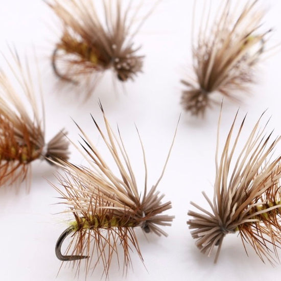 Elk Hair Caddis Yellow - Hazy Fly Fishing