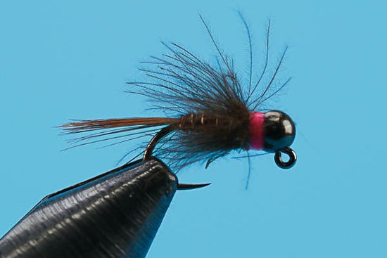 Euro CDC Pheasant Tail - Tungsten (Barbless) - Hazy Fly Fishing