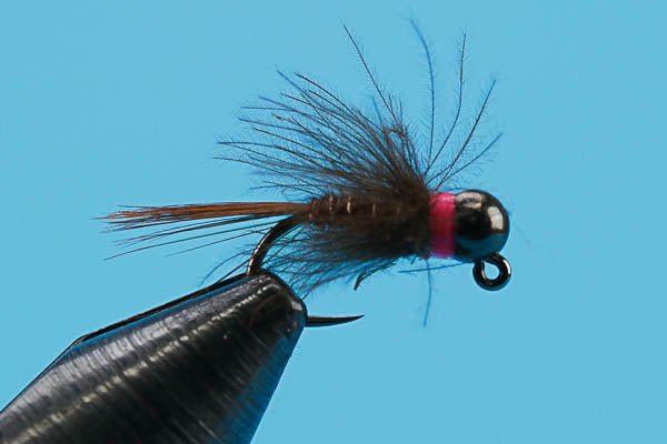 Euro CDC Pheasant Tail - Tungsten (Barbless) - Hazy Fly Fishing