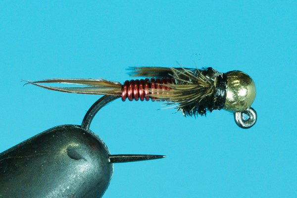 Euro Copper John - Tungsten (Barbless) - Hazy Fly Fishing