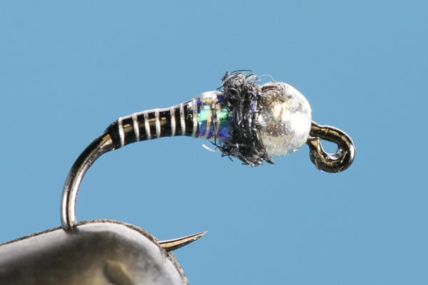 Euro Copper Zebra - Tungsten (Barbless) - Hazy Fly Fishing