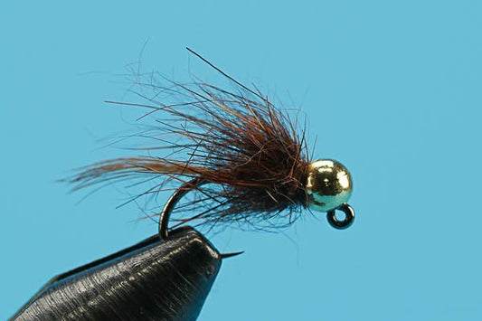 Euro Hot Butt Pheasant Tail - Tungsten (Barbless) - Hazy Fly Fishing