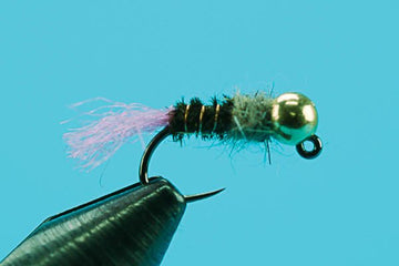 Euro Pink Tag - Tungsten (Barbless) - Hazy Fly Fishing