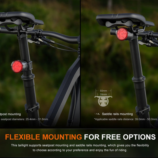 Fenix BC06R Smart - Brake Bicycle Taillight - Hazy Fly Fishing
