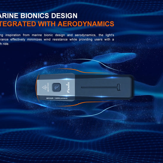 Fenix BC22R High - Performance Road Bike Light - Hazy Fly Fishing