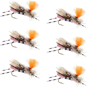 Feth Hopper Pink - Foam Grasshopper Fly Pattern - 6 Flies Flies Hook Size 10 - Hazy Fly Fishing