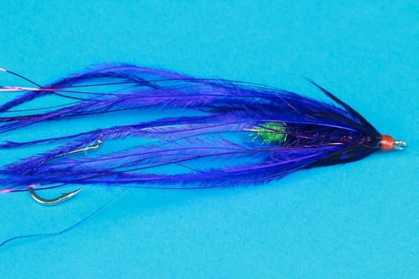 Fish Taco - Hazy Fly Fishing