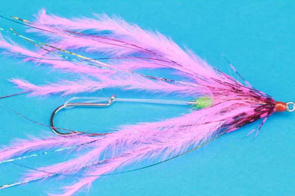 Fish Taco - Hazy Fly Fishing