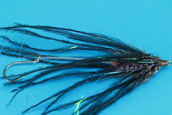 Fish Taco - Hazy Fly Fishing