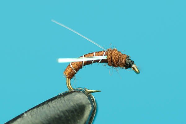 Flash Midge Pupa - Hazy Fly Fishing