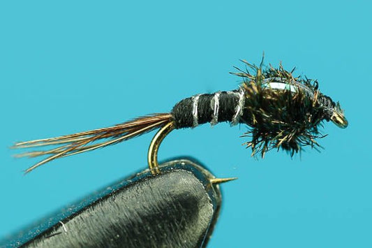 Flash Quill Nymph - Hazy Fly Fishing