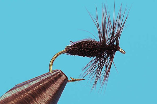 Flashback Beetle - Hazy Fly Fishing
