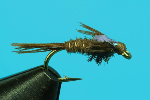 Flashback Pheasant Tail - Hazy Fly Fishing
