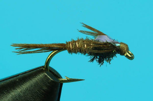Flashback Pheasant Tail - Hazy Fly Fishing