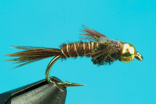Flashback Pheasant Tail - Beadhead - Hazy Fly Fishing