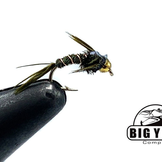 Flashback Pheasant Tail Curved Hook - Beadhead - Hazy Fly Fishing