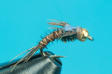 Flashback Pheasant Tail Curved Hook - Beadhead - Hazy Fly Fishing