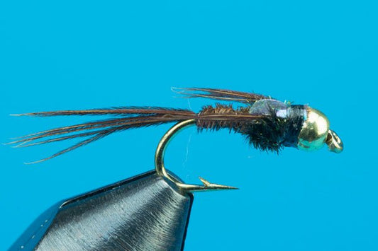 Flashback Pheasant Tail - Tungsten - Hazy Fly Fishing