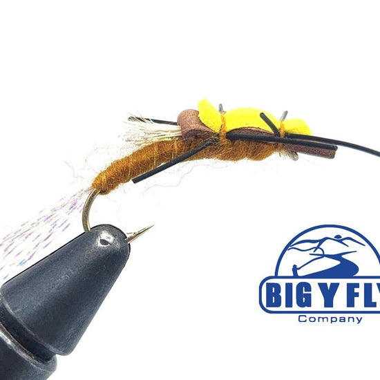 Floating Stonefly - Hazy Fly Fishing