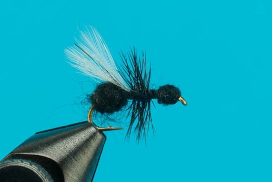Flying Ant - Hazy Fly Fishing