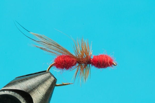 Flying Ant - Hazy Fly Fishing