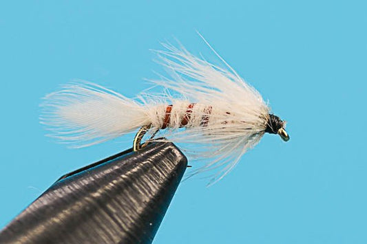 Flymph Light Cahill - Hazy Fly Fishing