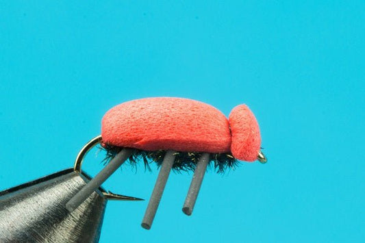 Foam Beetle - Hazy Fly Fishing
