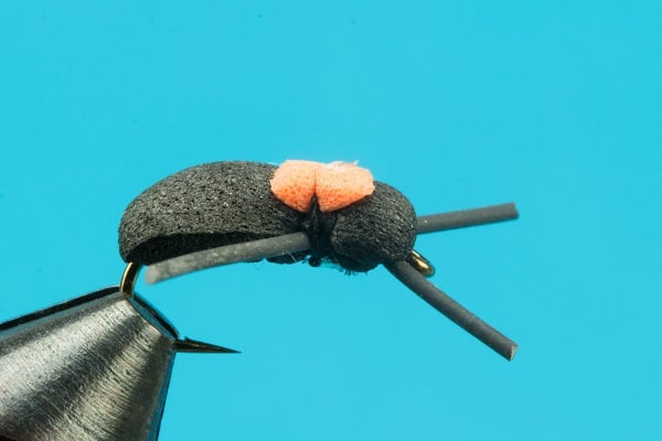 Foam Beetle Hi - Vis - Hazy Fly Fishing