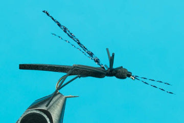 Foam Cricket - Hazy Fly Fishing