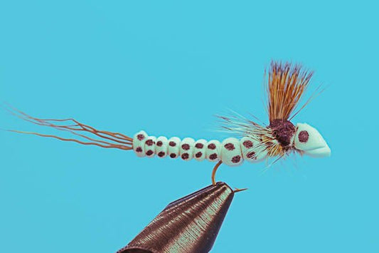 Foam Mayfly Drake - Hazy Fly Fishing