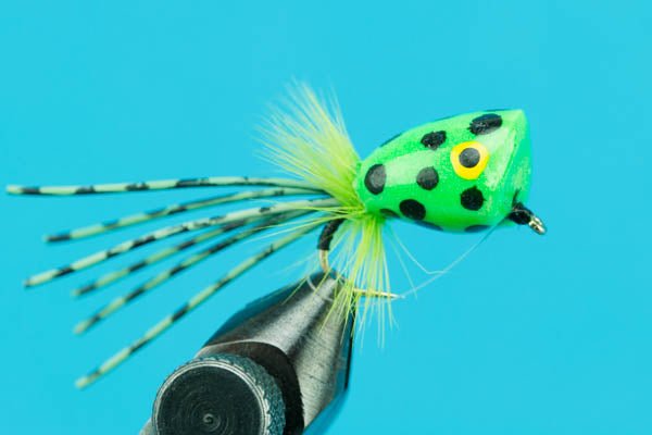 Foam Popper - Hazy Fly Fishing