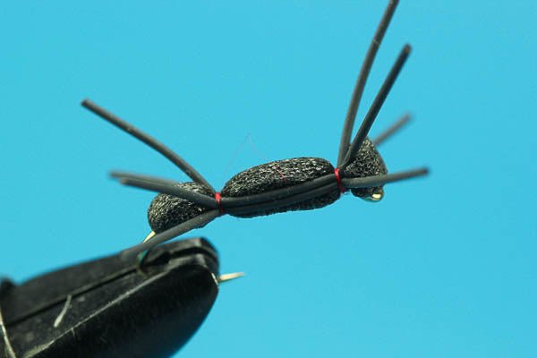 Foam Spider - Hazy Fly Fishing