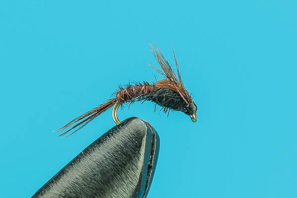 FOD - Hazy Fly Fishing