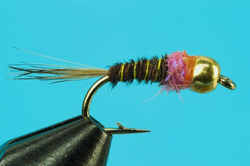 Frenchie Nymph - Tungsten - Hazy Fly Fishing