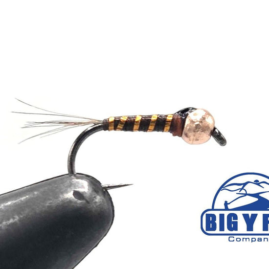 Gasolina - Tungsten (Barbless) - Hazy Fly Fishing