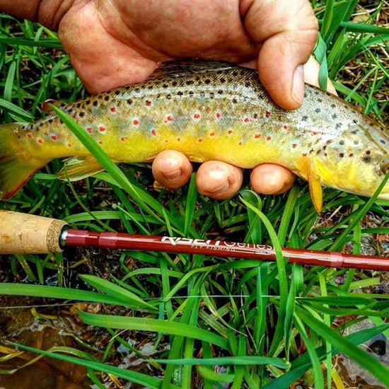 Genesis Fly Rod - Hazy Fly Fishing