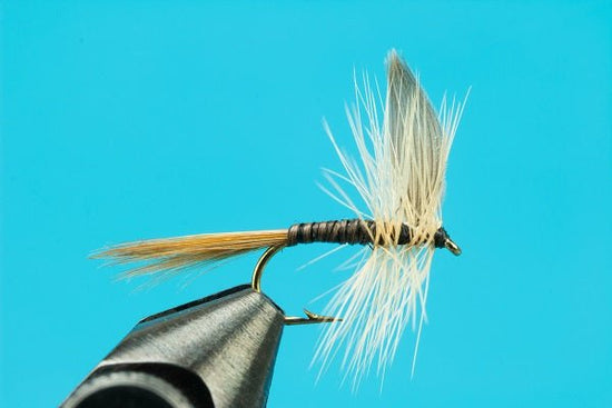 Ginger Quill - Hazy Fly Fishing