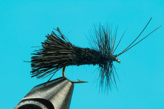 Goddard Caddis - Hazy Fly Fishing