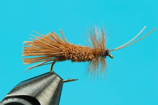 Goddard Caddis - Hazy Fly Fishing