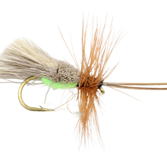 Goddard Caddis with Chartreuse Underside, Size 12 | Qty. 6 | Wild Water Fly Fishing - Hazy Fly Fishing