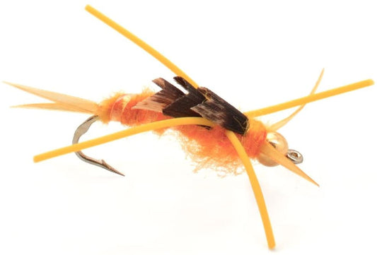 Gold Bead Kaufmann's Golden Stone Fly with Rubber Legs - Stonefly Wet Fly - 6 Flies Hook Size 12 - Hazy Fly Fishing