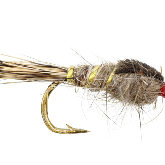 Gold Ribbed Hare's Ear Nymph, Size 12 | Qty. 6 | Wild Water Fly Fishing - Hazy Fly Fishing