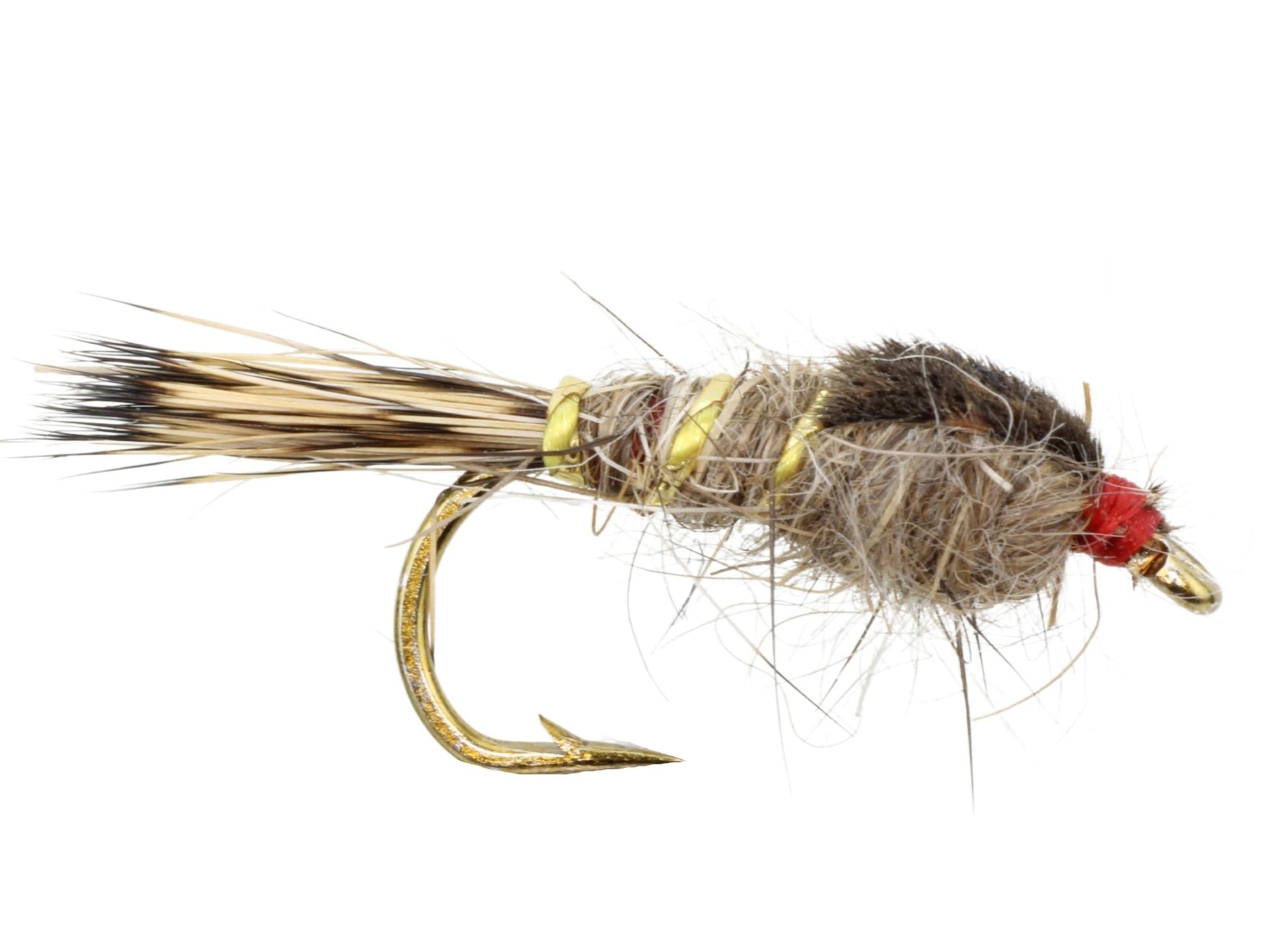 Gold Ribbed Hare's Ear Nymph, Size 12 | Qty. 6 | Wild Water Fly Fishing - Hazy Fly Fishing