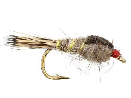 Gold Ribbed Hare's Ear Nymph, Size 12 | Qty. 6 | Wild Water Fly Fishing - Hazy Fly Fishing