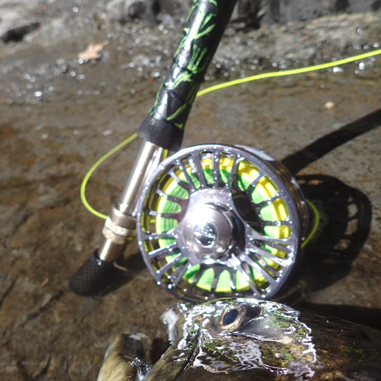 Goliath rod and reel combo - Hazy Fly Fishing