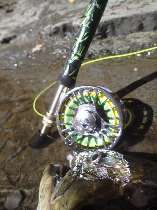 Goliath rod and reel combo - Hazy Fly Fishing