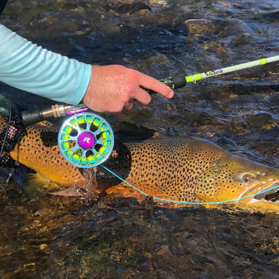 Goliath rod and reel combo - Hazy Fly Fishing