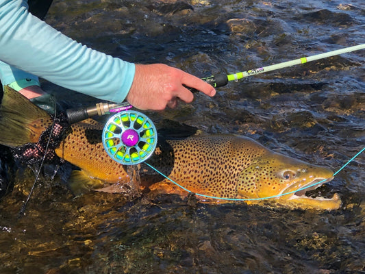 Goliath rod and reel combo - Hazy Fly Fishing