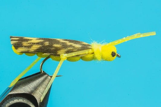 Grand Hopper - Hazy Fly Fishing