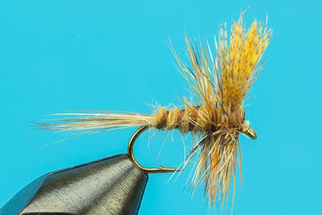 Gray Fox - Hazy Fly Fishing
